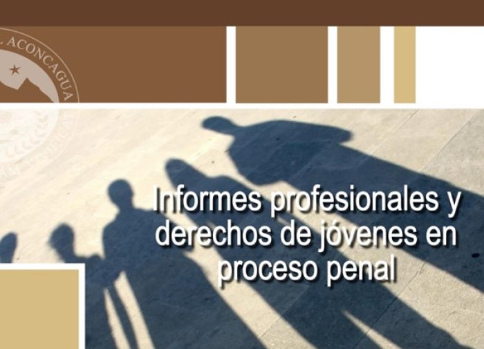 Cómo elaborar informes profesionales sobre jóvenes en proceso penal